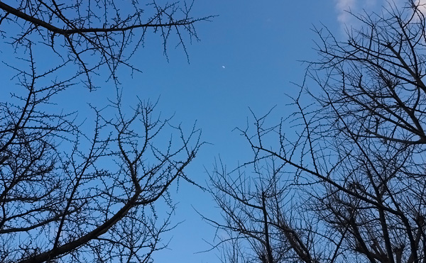 E-M10で撮った昼の月